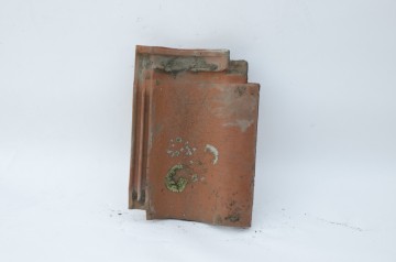 Romeinse dakpan (natuurrood)